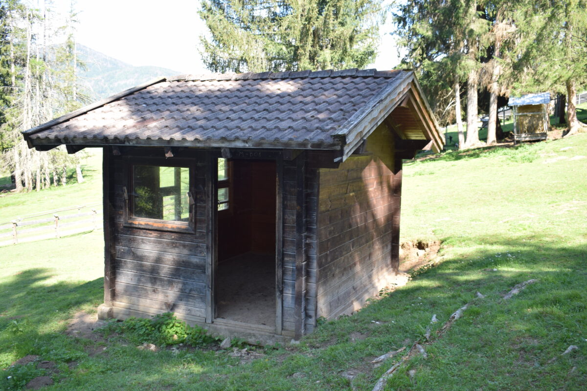 Permessi necessari per installare un casottino di legno in giardino in Toscana - geometra Andrea Mancuso - Firenze